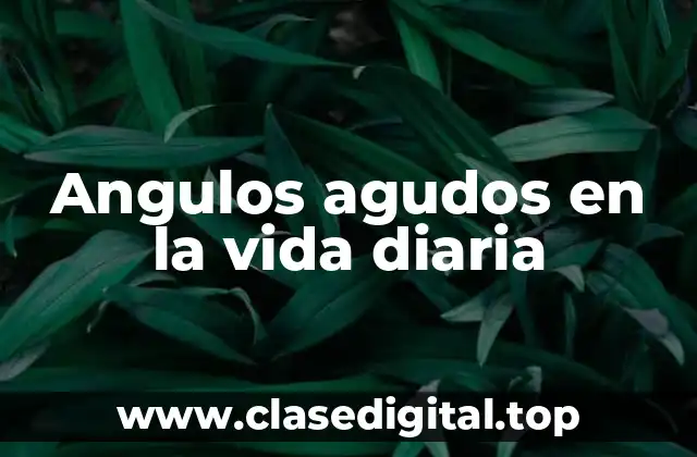 Angulos agudos en la vida diaria