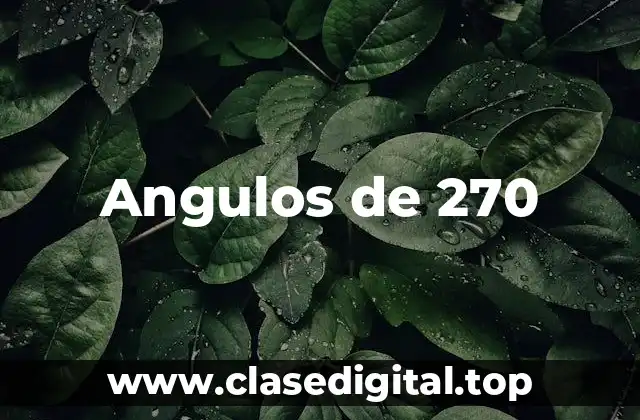 Angulos de 270