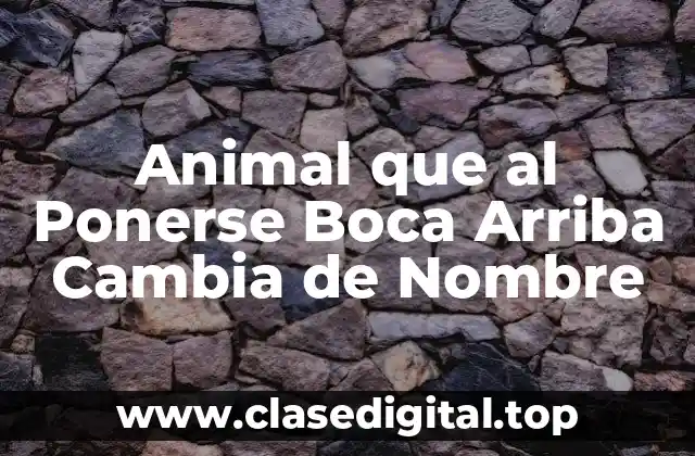 Animal que al Ponerse Boca Arriba Cambia de Nombre