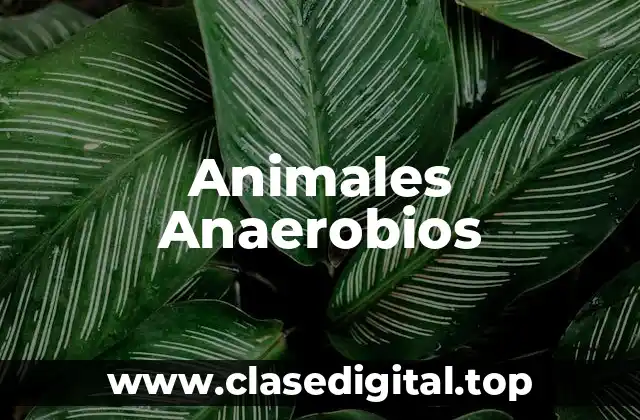 Animales Anaerobios