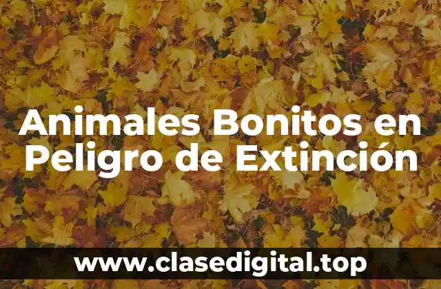 Animales Bonitos en Peligro de Extinción