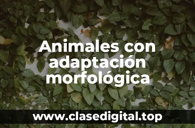 Animales con adaptación morfológica