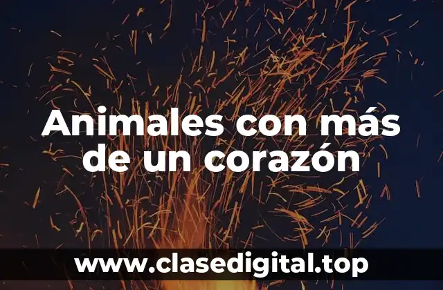Animales con más de un corazón