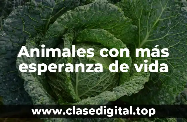 Animales con más esperanza de vida