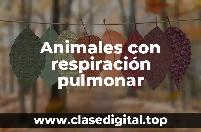 Animales con respiración pulmonar