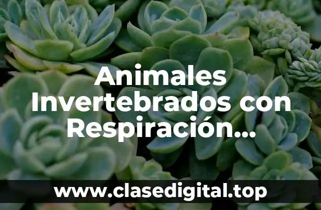 Animales Invertebrados con Respiración Branquial