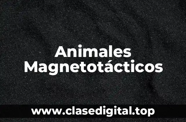 Animales Magnetotácticos