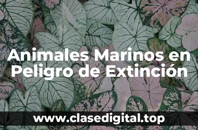 Animales Marinos en Peligro de Extinción