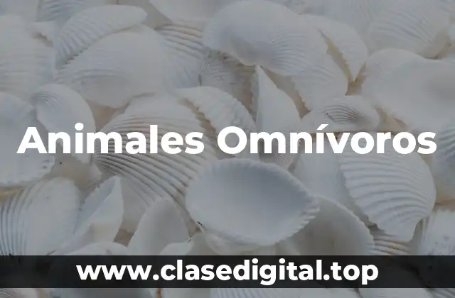 Animales Omnívoros
