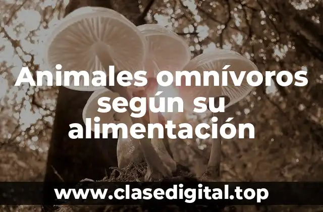 Animales omnívoros según su alimentación
