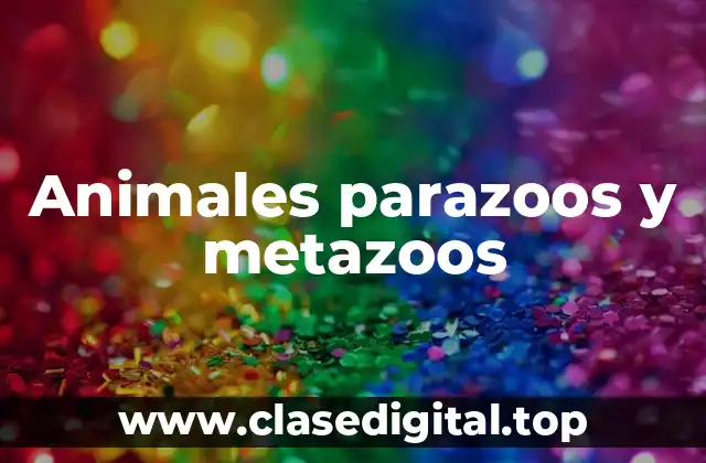 Animales parazoos y metazoos