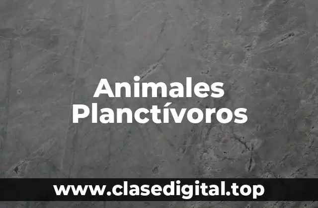 Animales Planctívoros
