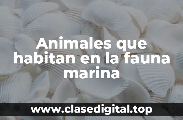 Animales que habitan en la fauna marina