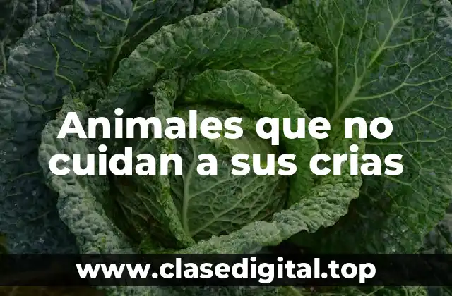 Animales que no cuidan a sus crias
