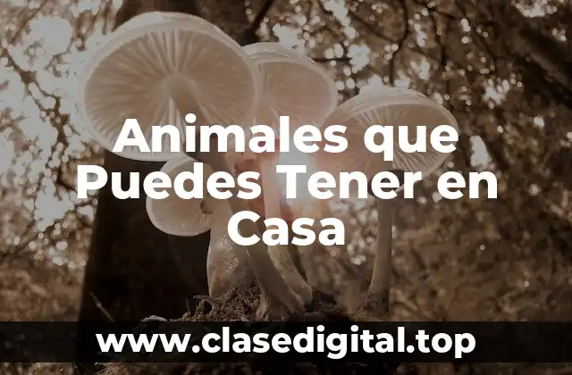 ¿Cuáles son los Animales más Populares que Puedes Tener en Casa?