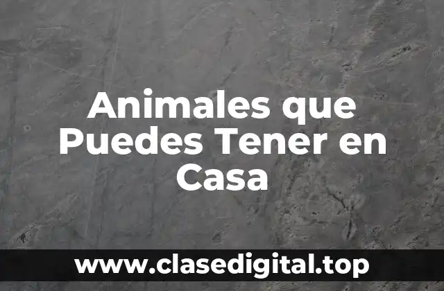 ¿Cuáles son los Animales más Populares que Puedes Tener en Casa?