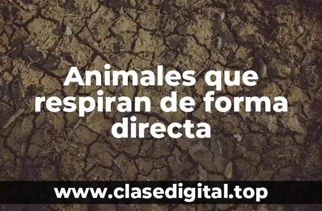 Animales que respiran de forma directa