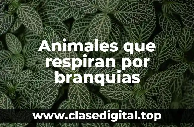 Animales que respiran por branquias