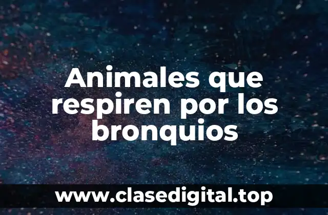 Animales que respiren por los bronquios