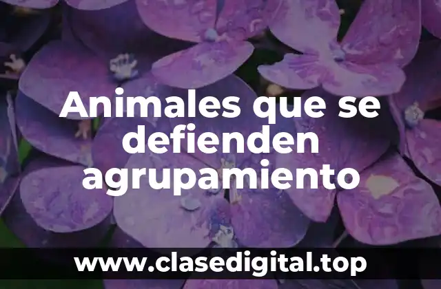 Animales que se defienden agrupamiento