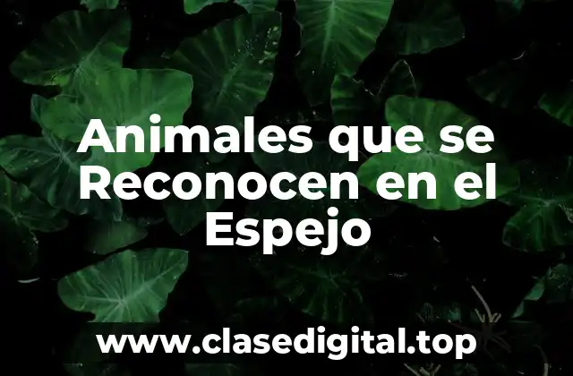Animales que se Reconocen en el Espejo