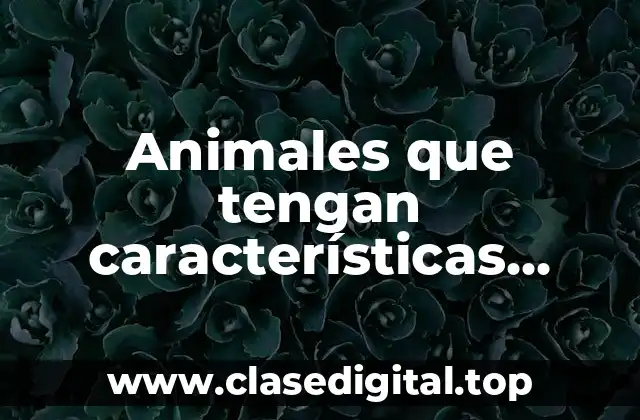 Animales que tengan características comunes con el humano