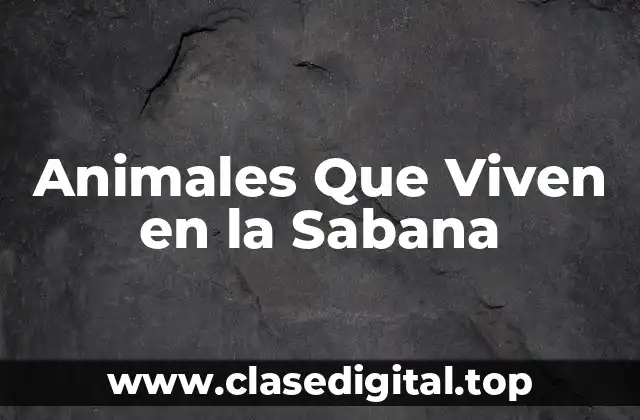 Características de la Sabana y su Importancia para los Animales