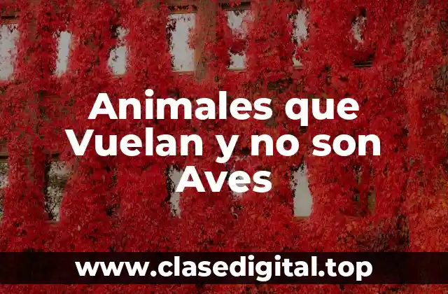 Animales que Vuelan y no son Aves