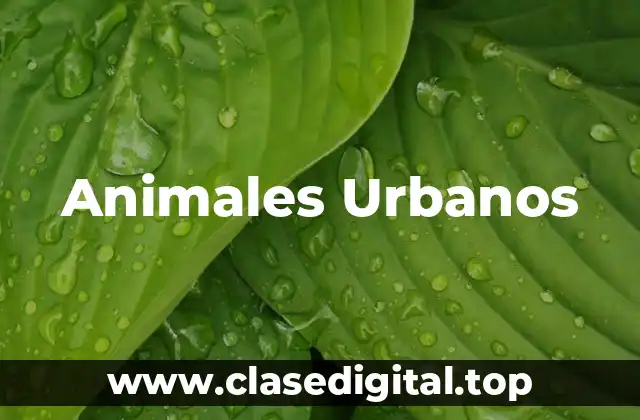 Animales Urbanos