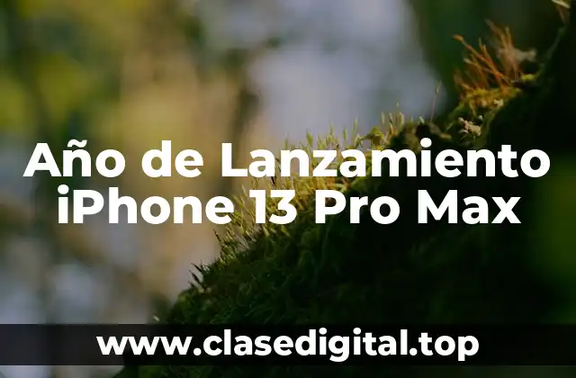 Año de Lanzamiento iPhone 13 Pro Max