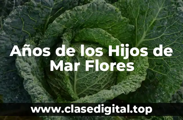 Años de los Hijos de Mar Flores