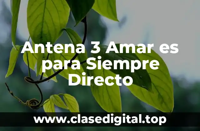 Antena 3 Amar es para Siempre Directo