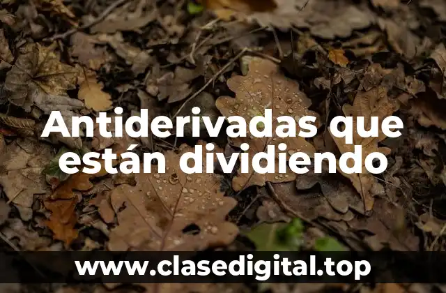 Antiderivadas que están dividiendo