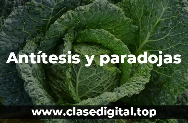Antítesis y paradojas