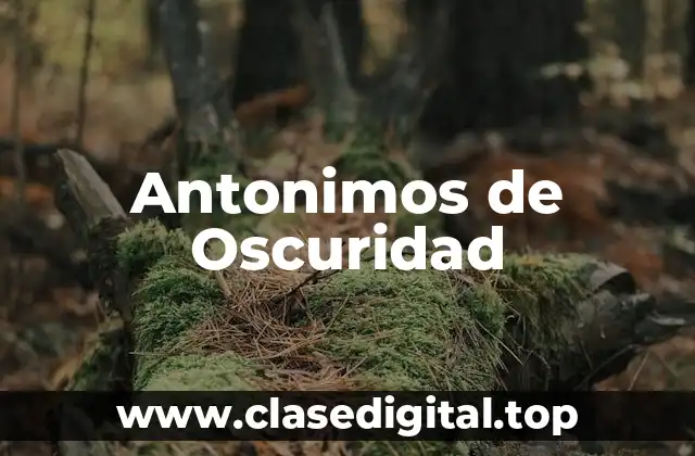 Ejemplos de antonimos de oscuridad