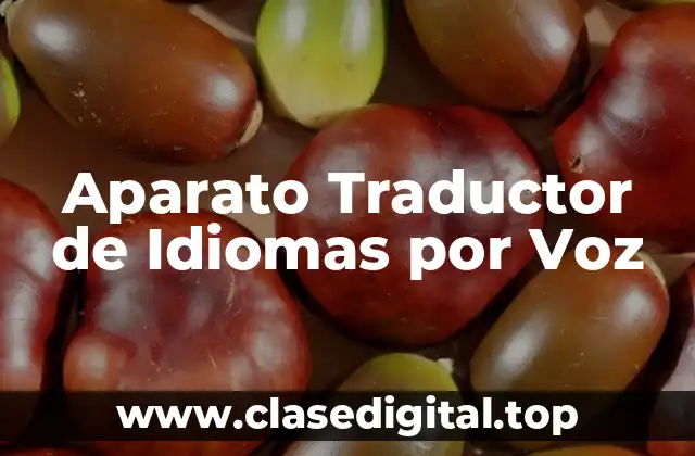 Aparato Traductor de Idiomas por Voz