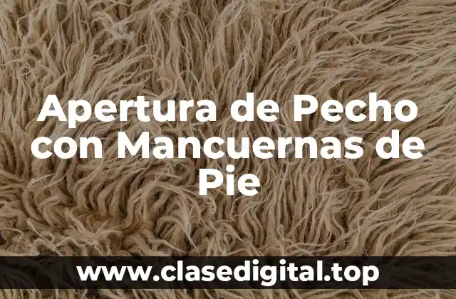 Apertura de Pecho con Mancuernas de Pie