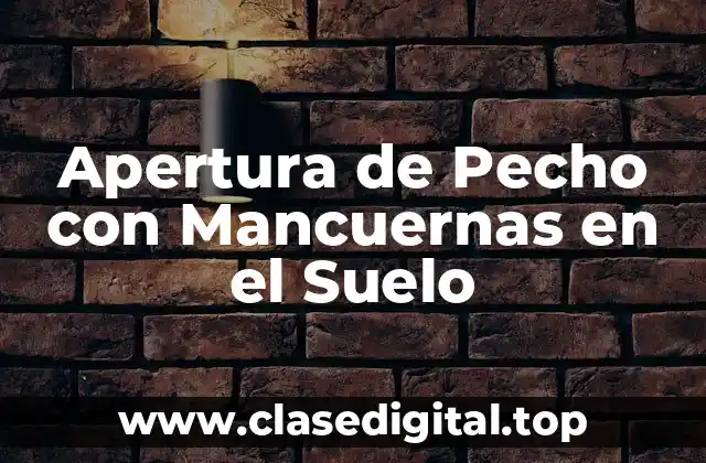 Apertura de Pecho con Mancuernas en el Suelo