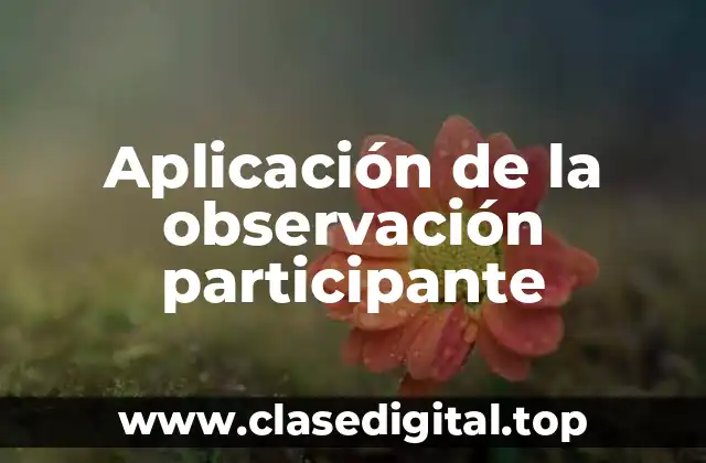 Aplicación de la observación participante
