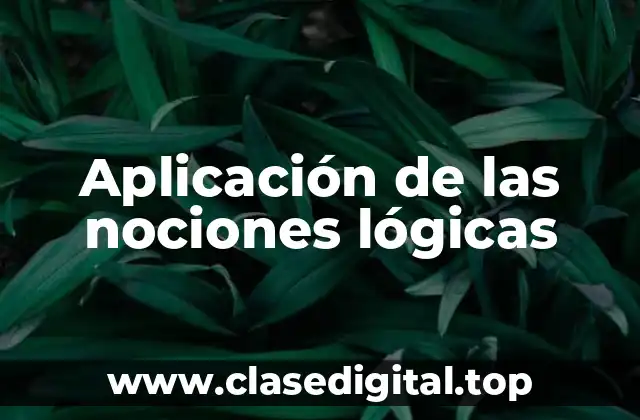 Aplicación de las nociones lógicas