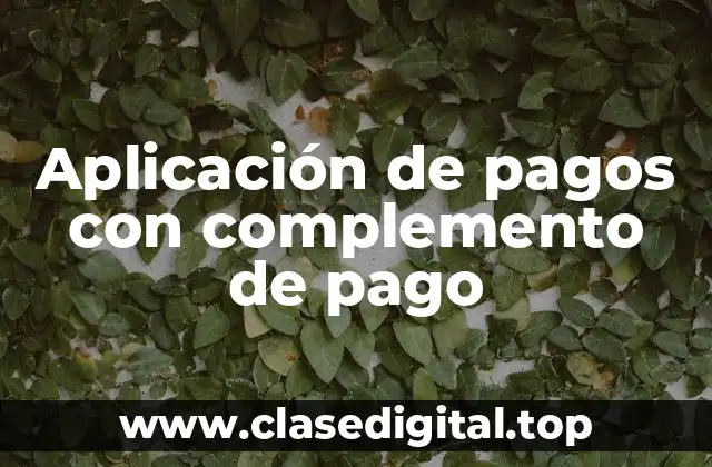Aplicación de pagos con complemento de pago