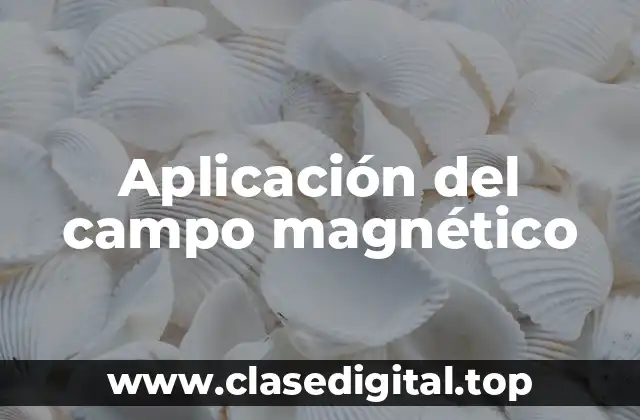 Aplicación del campo magnético