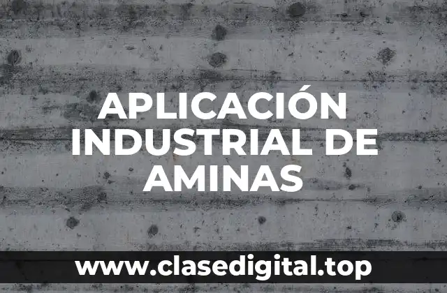 APLICACIÓN INDUSTRIAL DE AMINAS