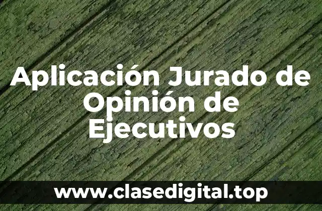 Aplicación Jurado de Opinión de Ejecutivos