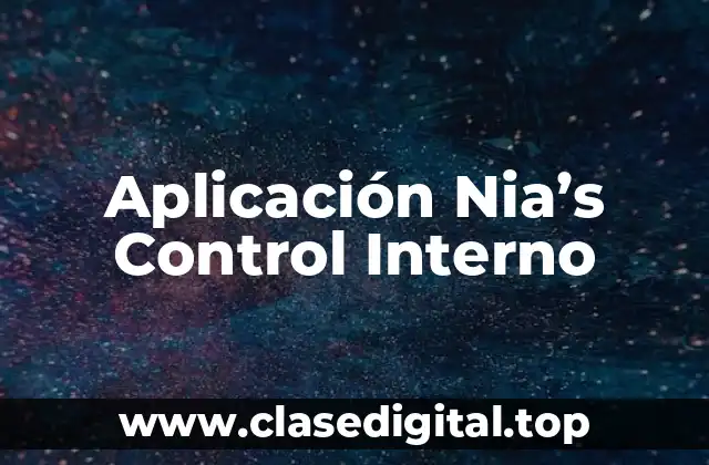 Aplicación Nia’s Control Interno