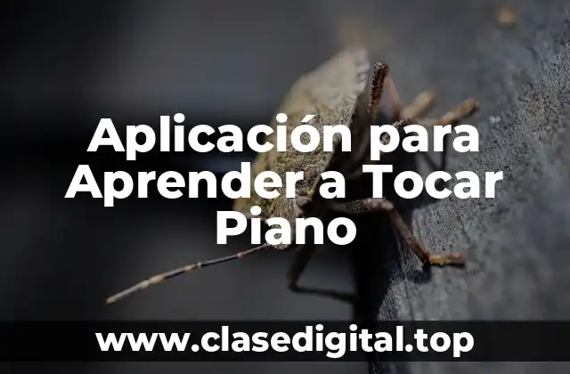¿Cuáles son los Beneficios de Aprender a Tocar Piano con una Aplicación?