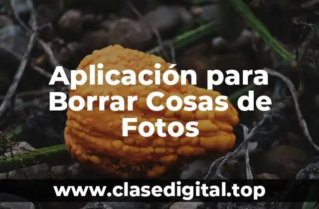 Aplicación para Borrar Cosas de Fotos