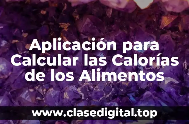¿Cómo Funcionan las Aplicaciones para Calcular las Calorías de los Alimentos?