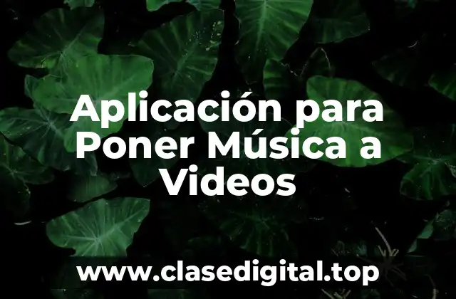 Aplicación para Poner Música a Videos