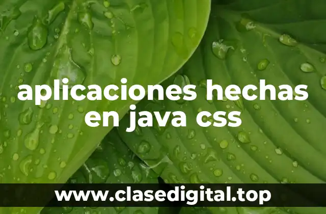 aplicaciones hechas en java css